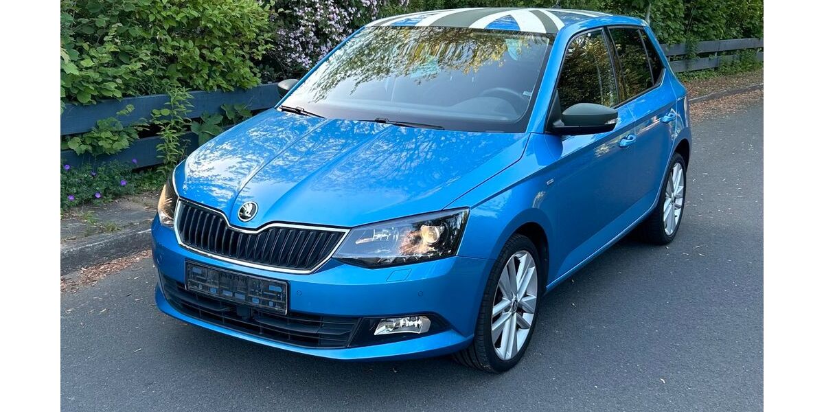 Skoda Fabia 154.500 km 9.500 &euro; Bad Bevensen 29549