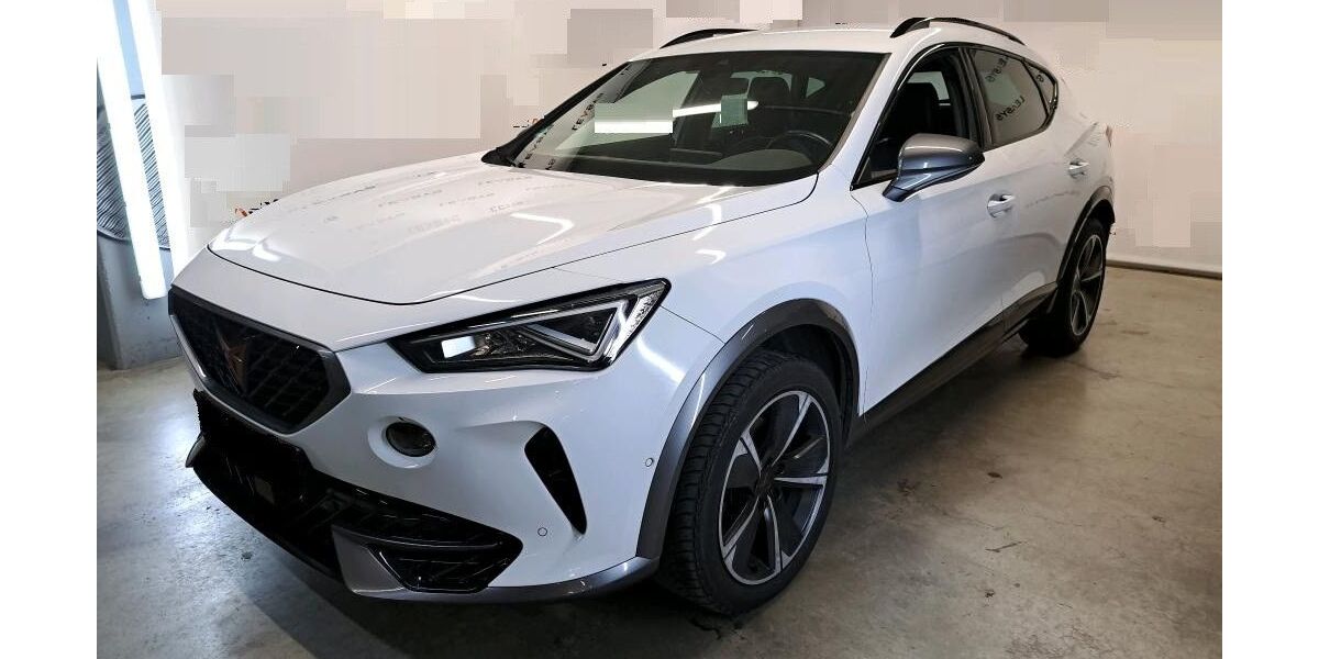 Cupra Formentor 123.094 km 21.800 &euro; Gersfeld 36129