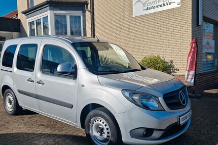 Mercedes-Benz Citan 197.945 km 6.900 &euro; Ilsede 31246