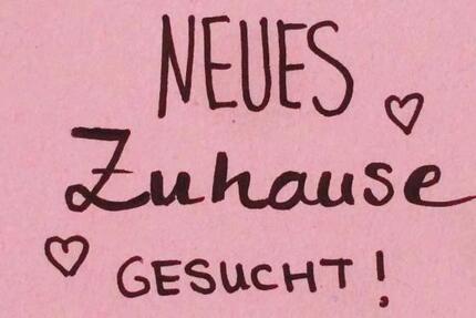 Wohnung Bad Schwalbach - 3 Zimmer, 70 m&sup2;, 900&euro; | Angebot:25548914