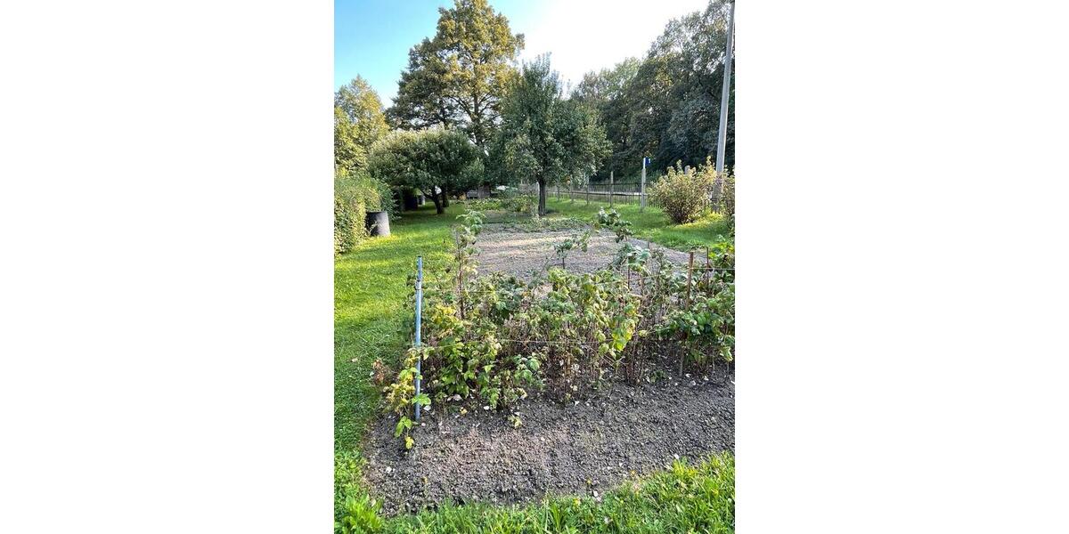 Etagenwohnung Kodersdorf - 2 Zimmer, 20 m&sup2;, 99&euro; | Angebot:25143002