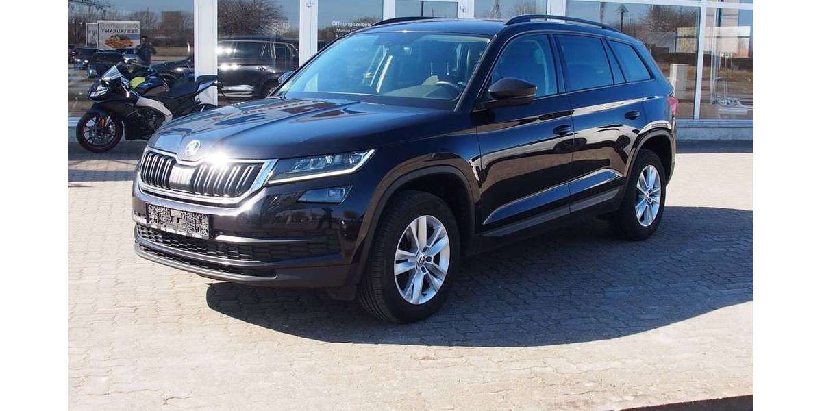 Skoda Kodiaq 183.271 km 16.298 &euro; Pampow 19075