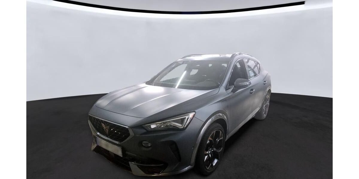 Cupra Formentor 45.564 km 27.225 &euro; Hagen 58091