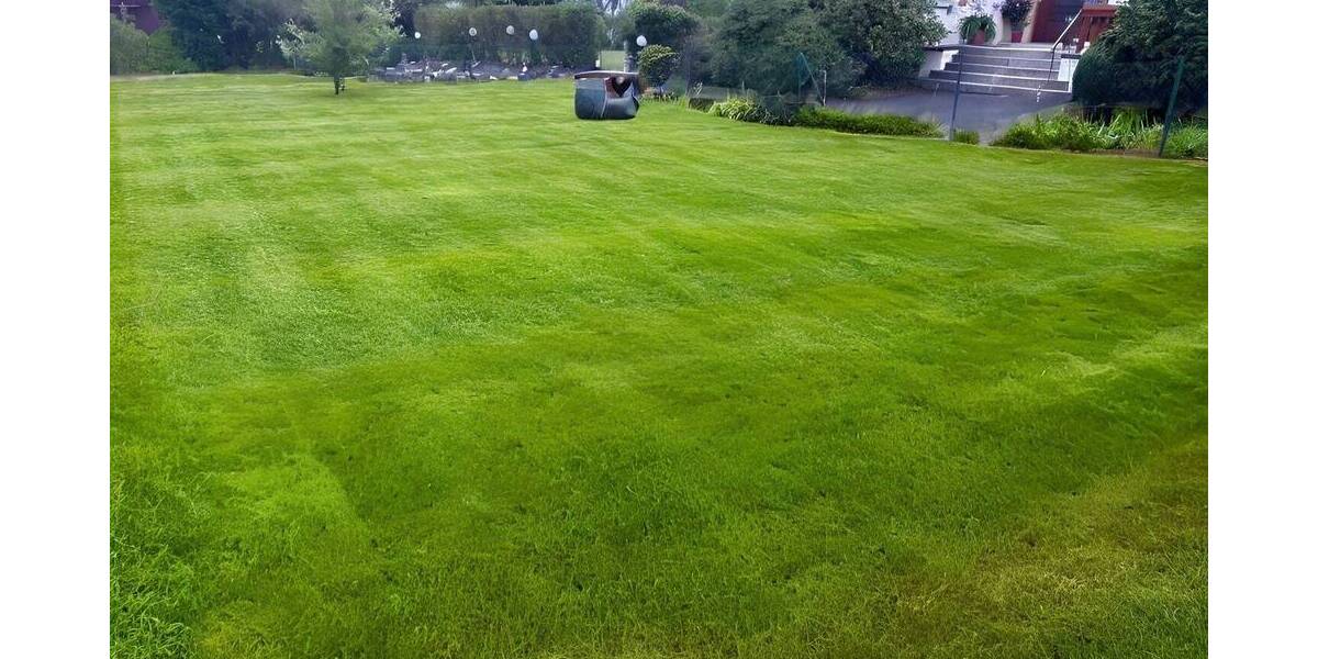 Grundstück Selbitz - 89.000&euro; | Angebot:23950916