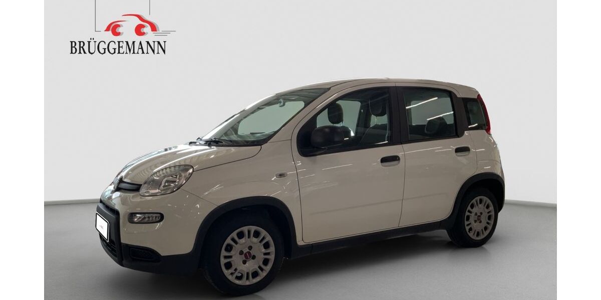 Fiat Panda 39.745 km 10.700 &euro; Osnabrück 49078