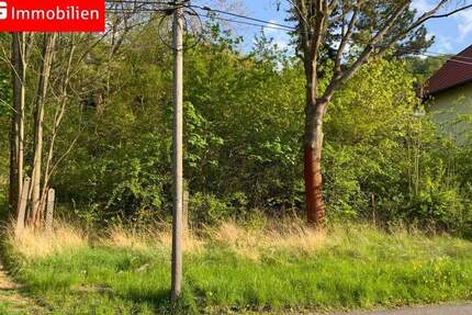 Grundstück Sondershausen - 19.500&euro; | Angebot:25667223