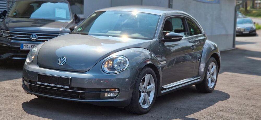 Beetle