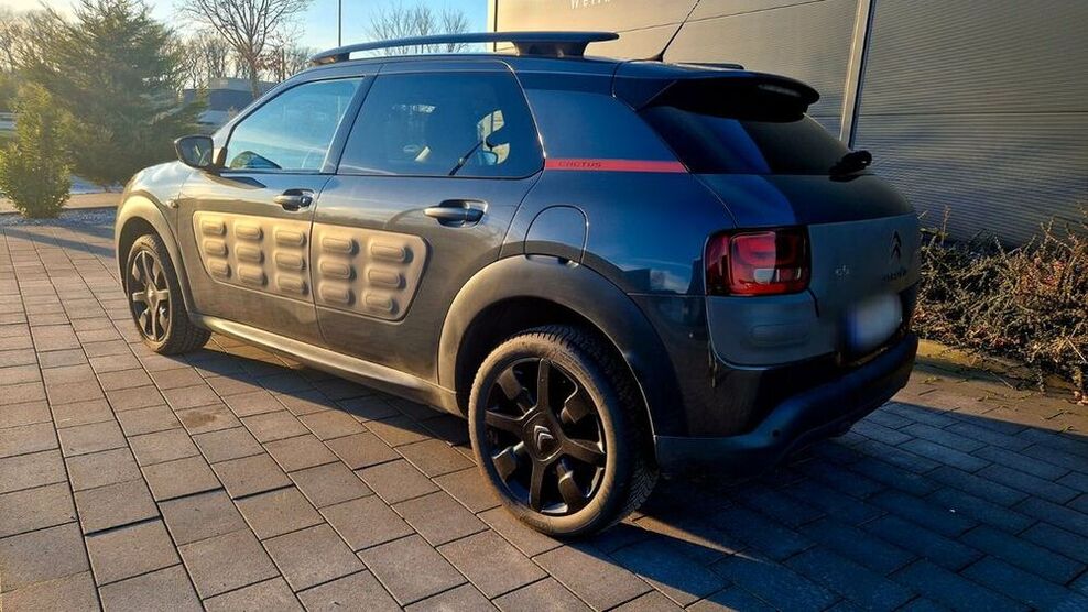 C4 Cactus