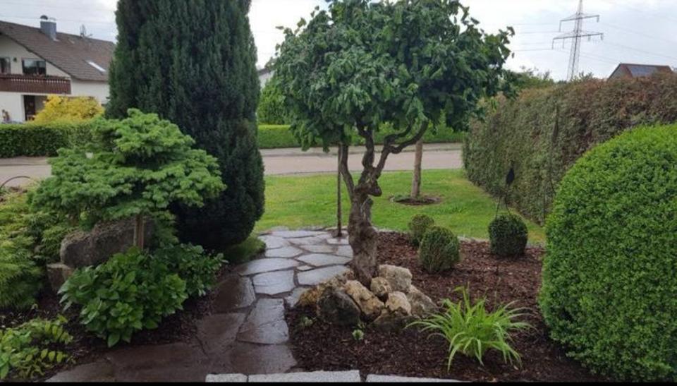 Einfamilienhaus Rosenberg - 5 Zimmer, 190 m&sup2;, 2.100&euro; | Angebot:25088933