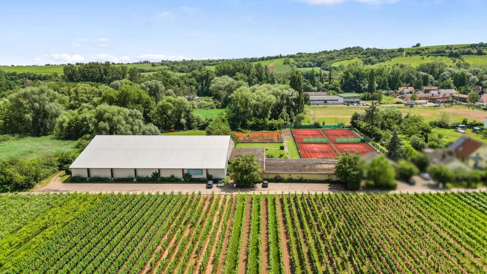 Grundstück zu verkaufen in Siebeldingen 980.000 € 12597 m² zimmer