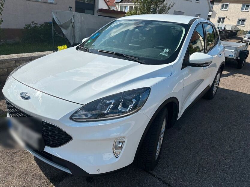 Kuga