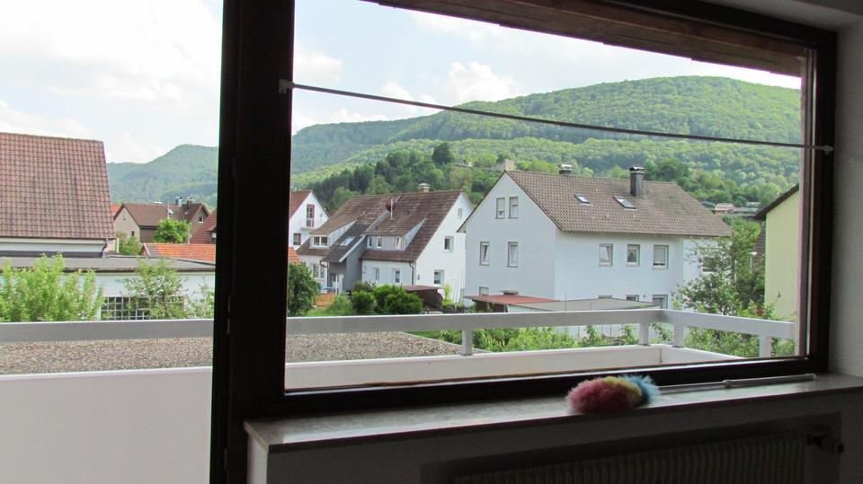 Etagenwohnung Lenningen - 1 Zimmer, 36 m&sup2;, 134.000&euro; | Angebot:27046362