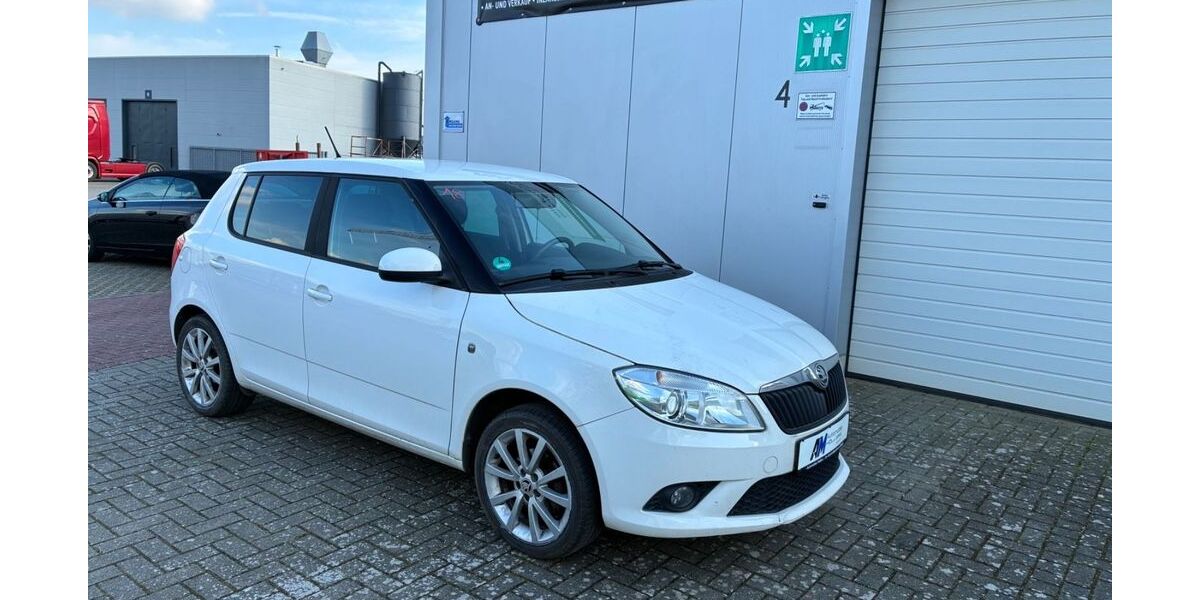 Skoda Fabia 191.254 km 4.090 &euro; Rhede 46414