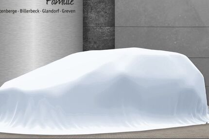 VW Polo 22.424 km 25.990 &euro; Altenberge 48341