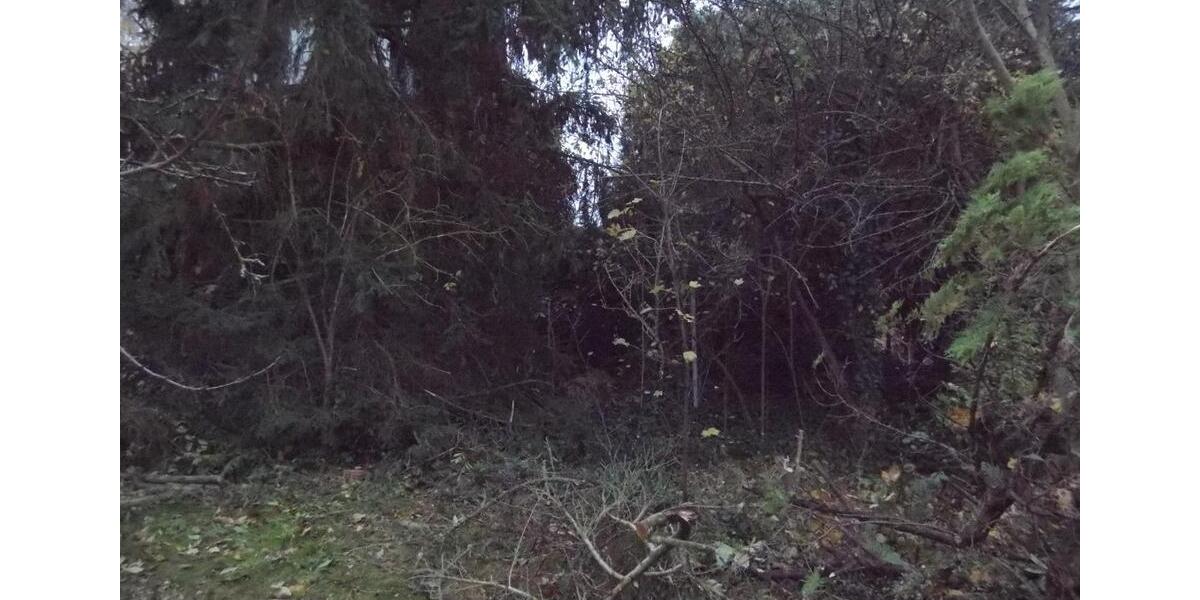 Einfamilienhaus Kaufungen - 6 Zimmer, 120 m&sup2;, 249.000&euro; | Angebot:26249965