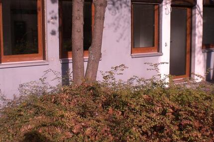 Großzügiges Offenes Wohnen 1.5 zimmer