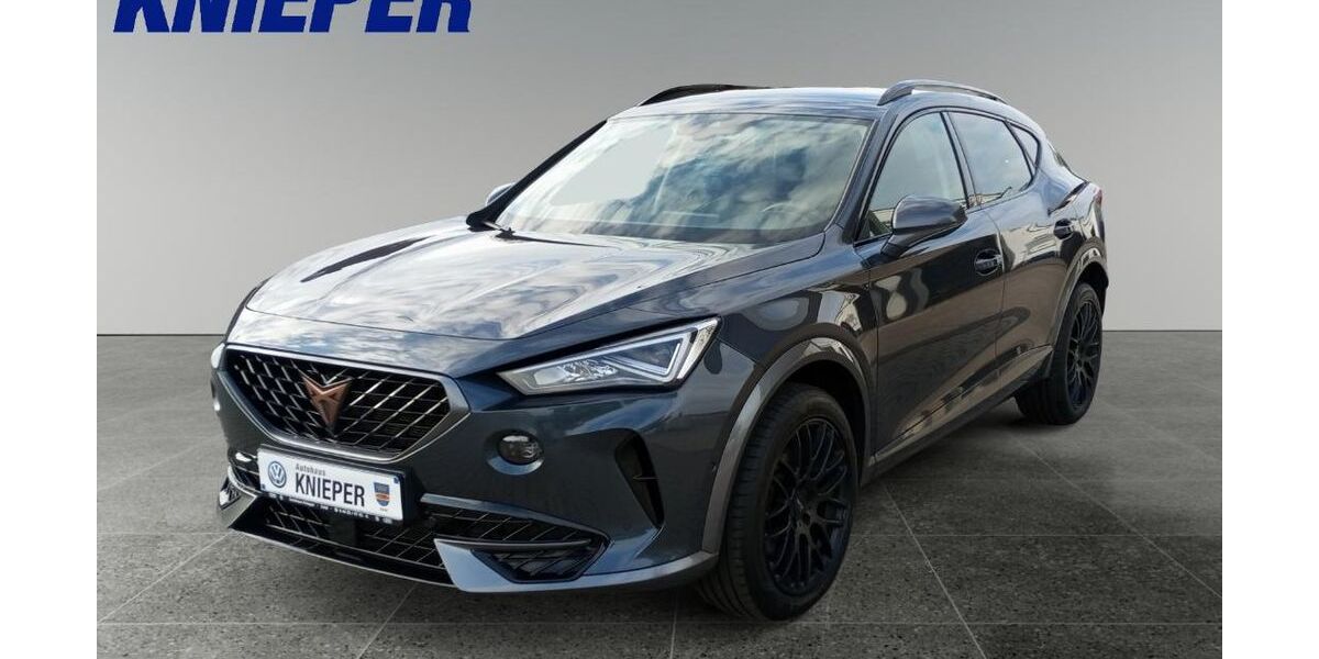 Cupra Formentor 91.350 km 23.950 &euro; Zetel 26340