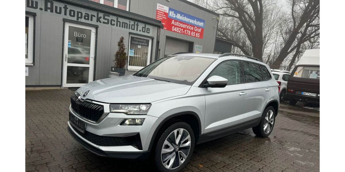 Skoda Karoq 140.000 km 19.450 &euro; Itzehoe 25524