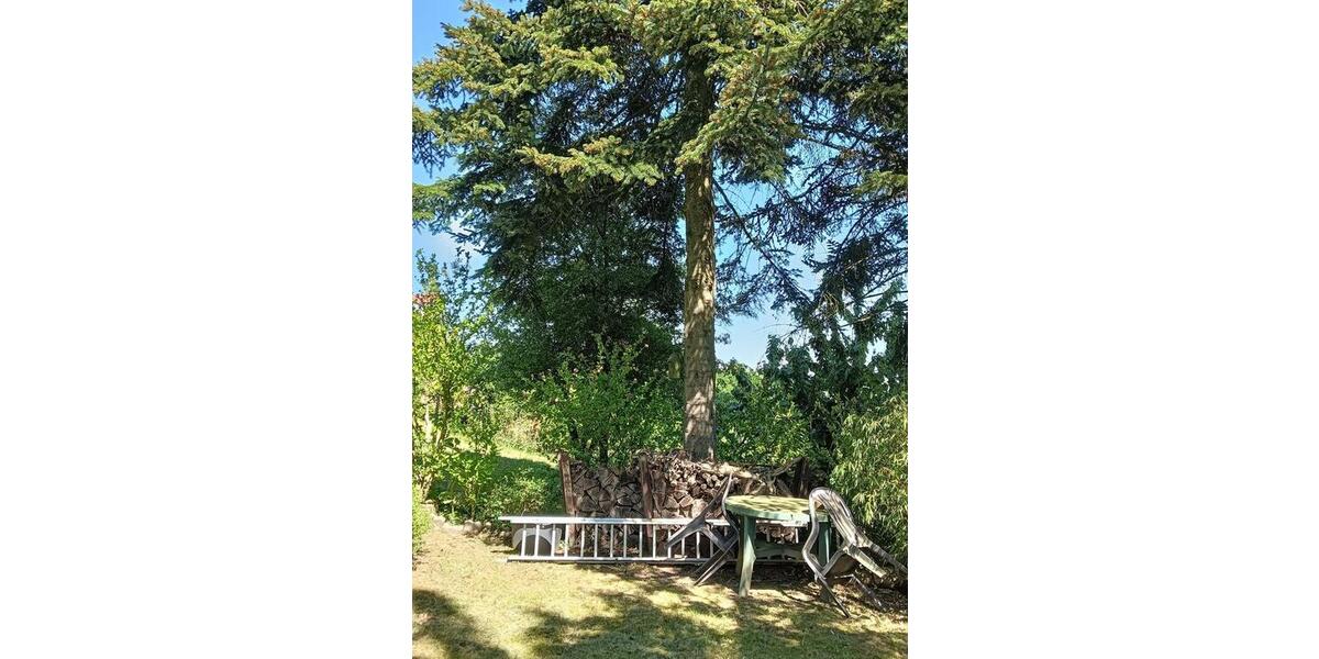 Einfamilienhaus Spiesen-Elversberg Elversberg - 299.000&euro; | Angebot:26957594