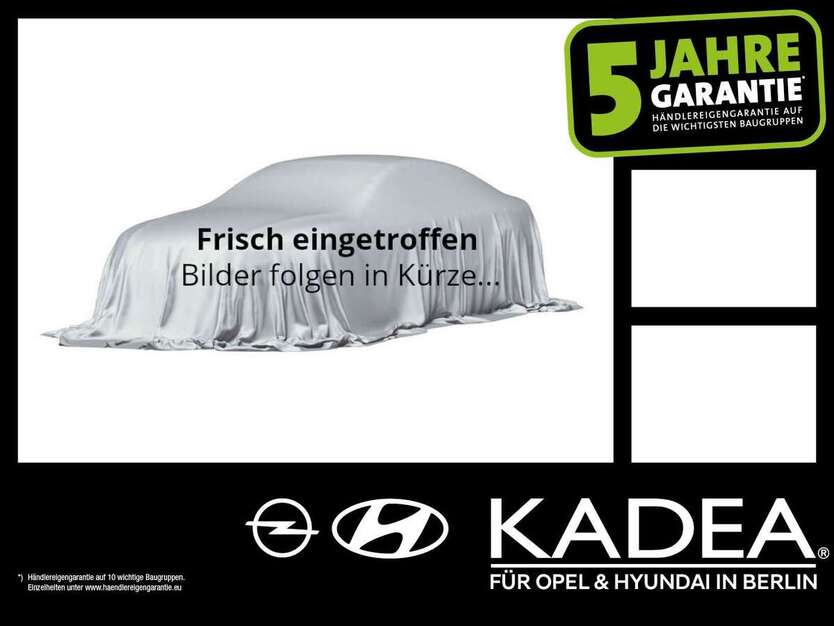 Opel Zafira 46.119 km 17.990 € Berlin 12555