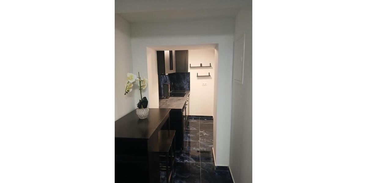 Erdgeschoßwohnung Sachsenheim - 1 Zimmer, 30 m&sup2;, 700&euro; | Angebot:25366785