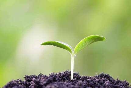 Grundstück zu verkaufen in Tübingen 20.000 € 3698 m² zimmer