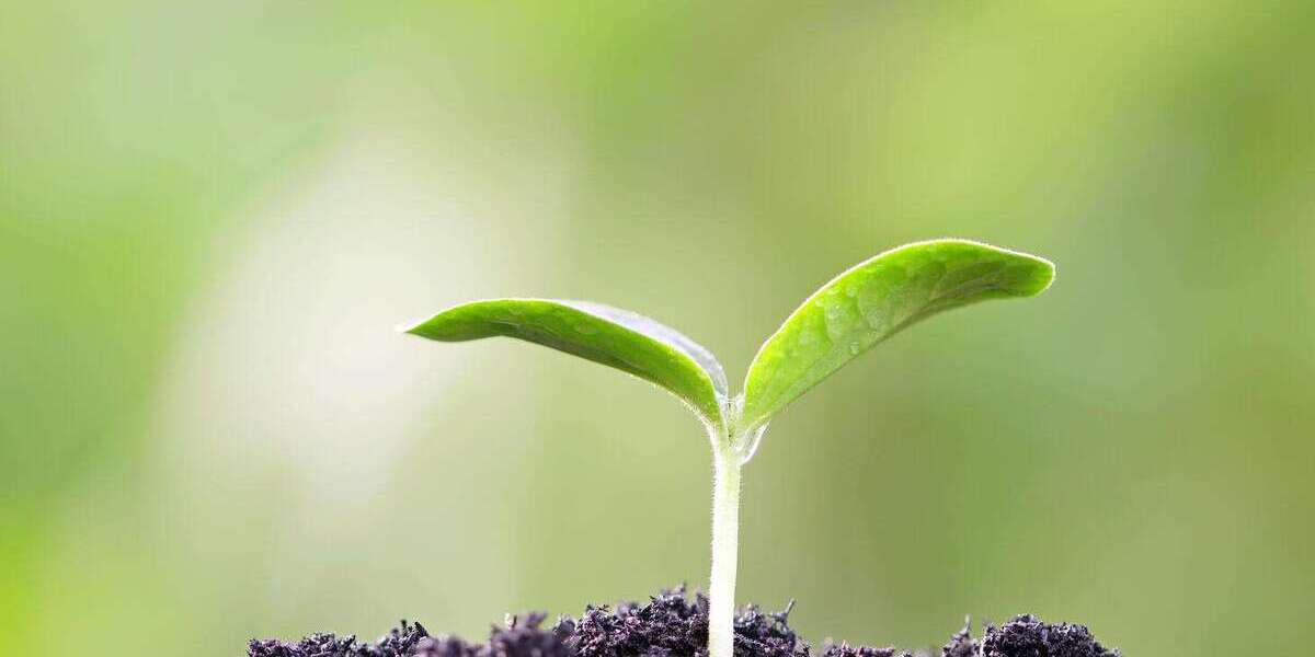 Grundstück zu verkaufen in Tübingen 20.000 € 3698 m² zimmer