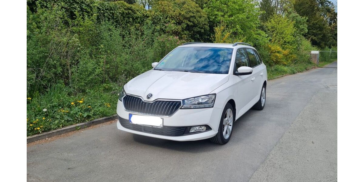 Skoda Fabia 95.500 km 9.700 &euro; Frankfurt 60599