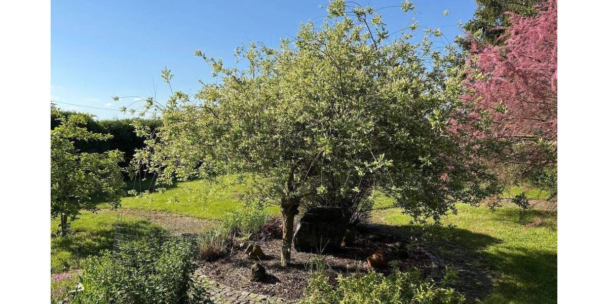 Grundstück Wangenheim Wangenheim - 35.000&euro; | Angebot:26657172