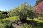 Grundstück Wangenheim Wangenheim - 35.000&euro; | Angebot:26657172