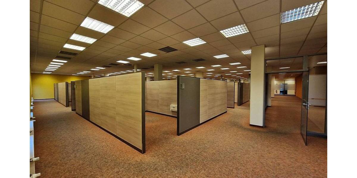 außergewöhnliches Geschäftsobjekt mit vielen Vorzügen, tlw. zur Eigennutzung 1 zimmer