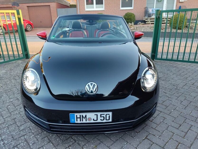 Beetle