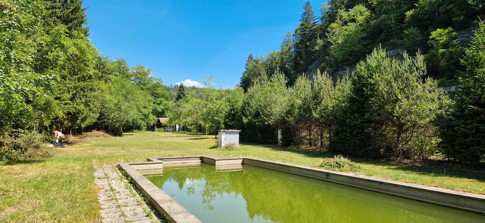 Einfamilienhaus Engen - 9 Zimmer, 250 m&sup2;, 599.900&euro; | Angebot:27267550