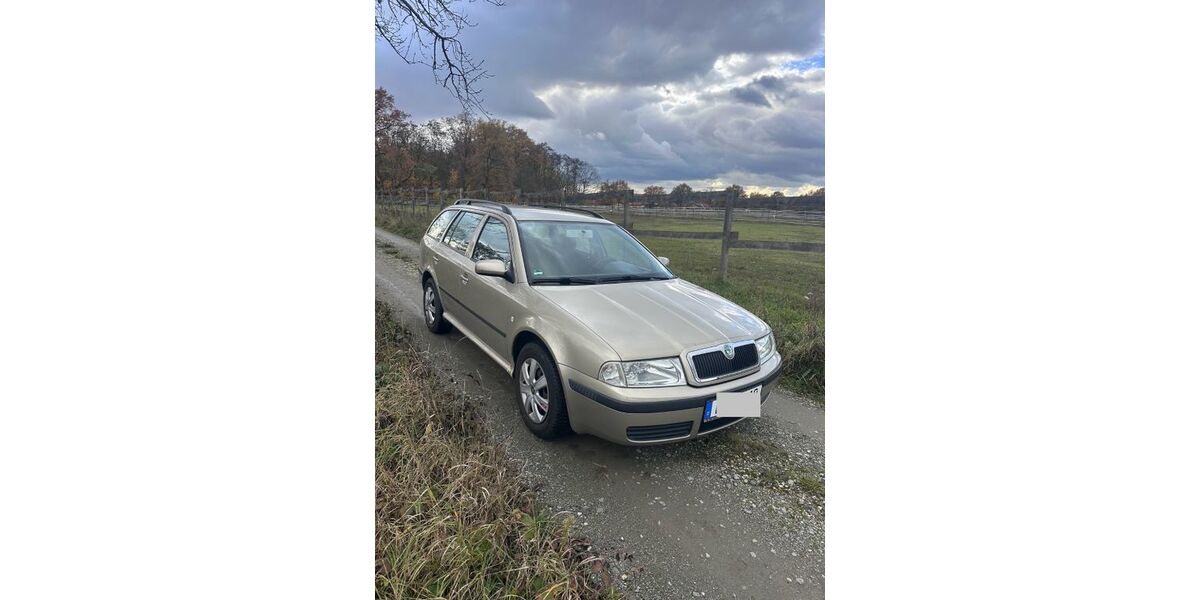 Skoda Octavia 224.500 km 1.800 &euro; Offenbach 63075