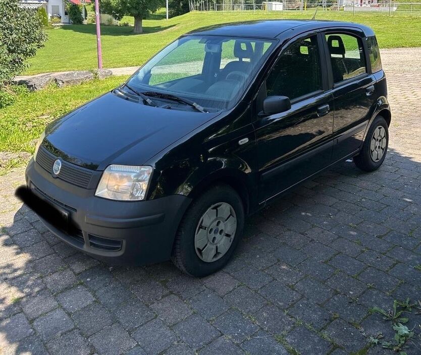 Panda