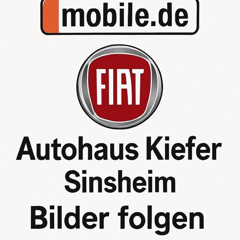Fiat 500e 12.000 km 27.000 € Sinsheim 74889
