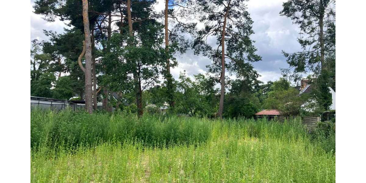 Einfamilienhaus Königs Wusterhausen Niederlehme - 3 Zimmer, 92 m&sup2;, 469.000&euro; | Angebot:27104664