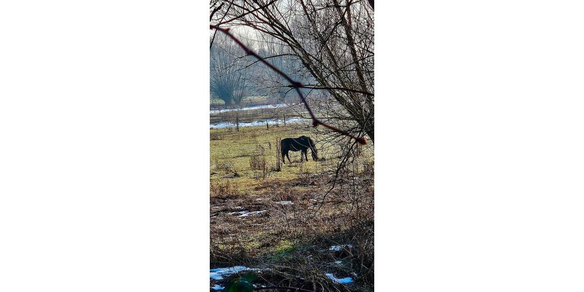 Sehr schöne Doppelhaushälfte in ruhiger Lage 5 zimmer