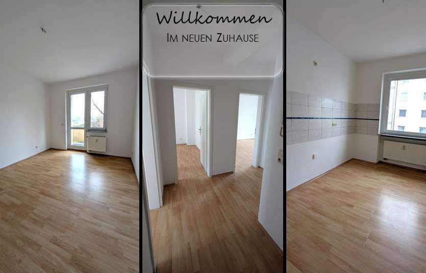 Wohnung zum Mieten in Plauen 240 € 48 m²