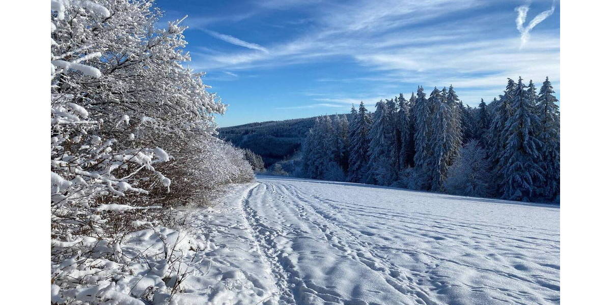 Etagenwohnung Winterberg Langewiese - 2 Zimmer, 58 m&sup2;, 590&euro; | Angebot:26253568