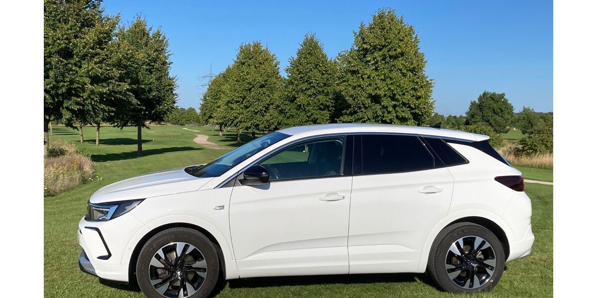 Opel Grandland (X) 59.000 km 20.900 &euro; Riedstadt 64560