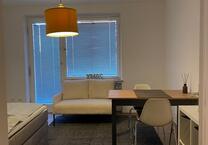 Gemütliche & helle 1 Zimmer Wohnung in München-Moosach