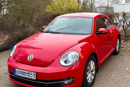 VW Beetle 135.000 km 6.499 &euro; Lübeck 23564