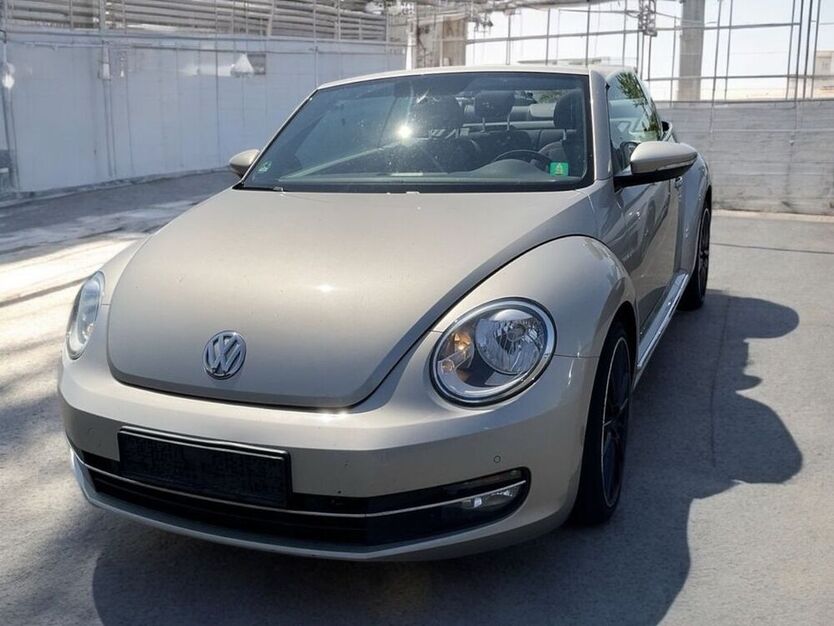 Beetle