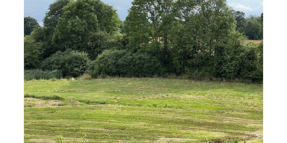 Gewerbeobjekt Badendorf - 21.000&euro; | Angebot:25971217