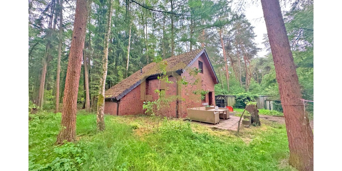 6.503 m² Naturparadies an der Hunte – Wochenendhaus in traumhafter Waldlage - Einfamilienhaus Wildeshausen | Angebot:26801669