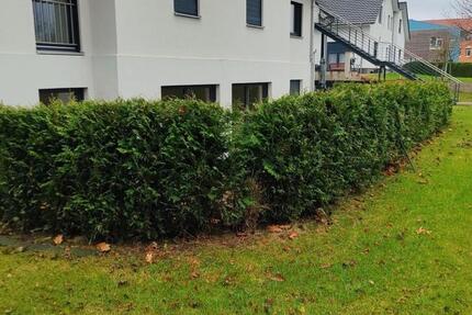 Светлая современная 3-комнатная квартира в Лотте — свободна сразу 3 zimmer