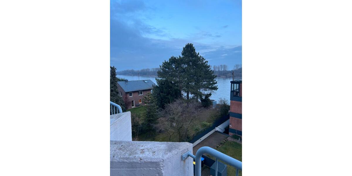 Einfamilienhaus Köln Rodenkirchen - 1 Zimmer, 38 m&sup2;, 1.150&euro; | Angebot:24866550