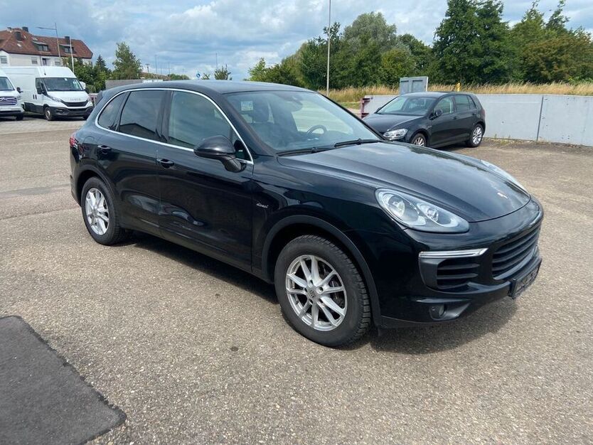 Cayenne