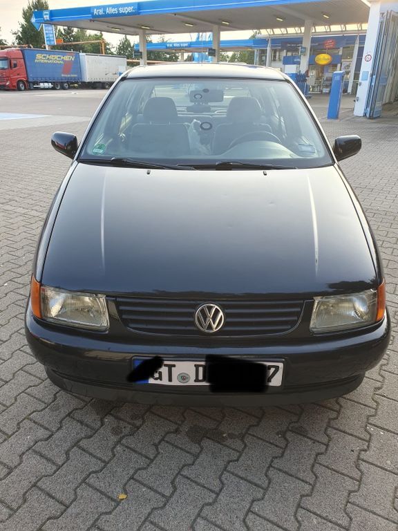 Polo